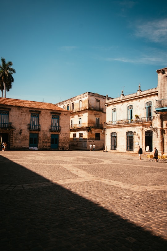 view photography of brown concrete building in Plaza de la Catedral Cuba
