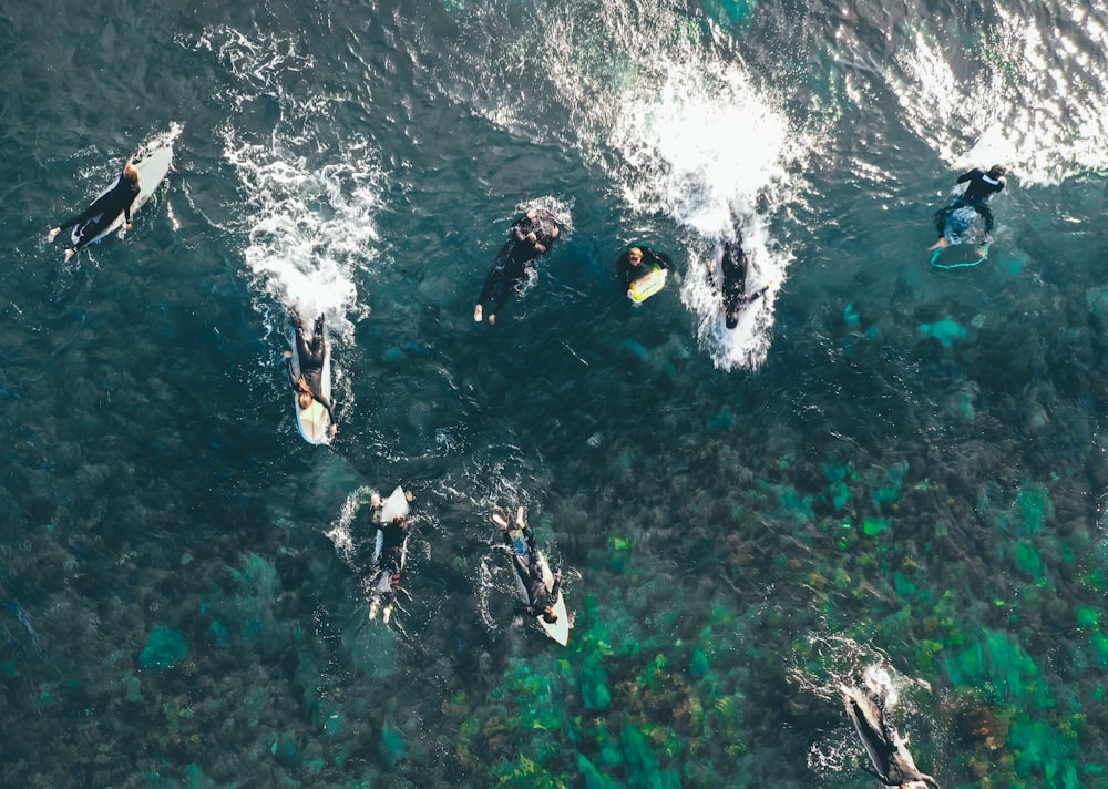 people riding surfboard on clear water during daytime