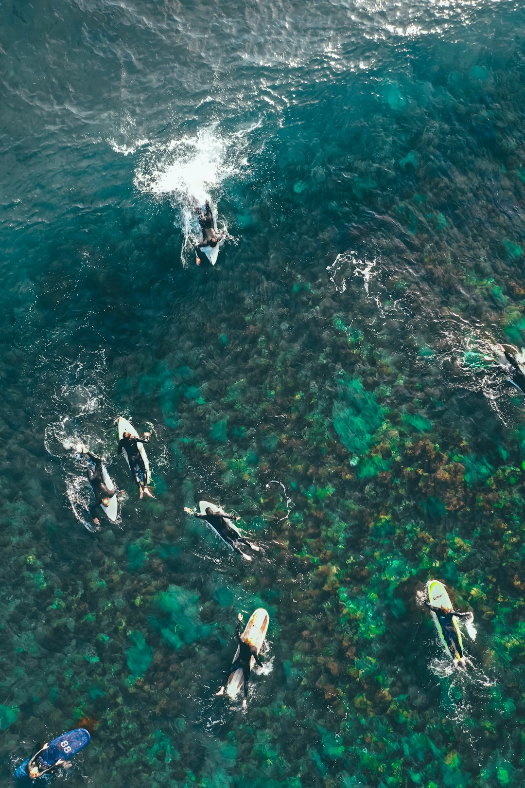 surfing people