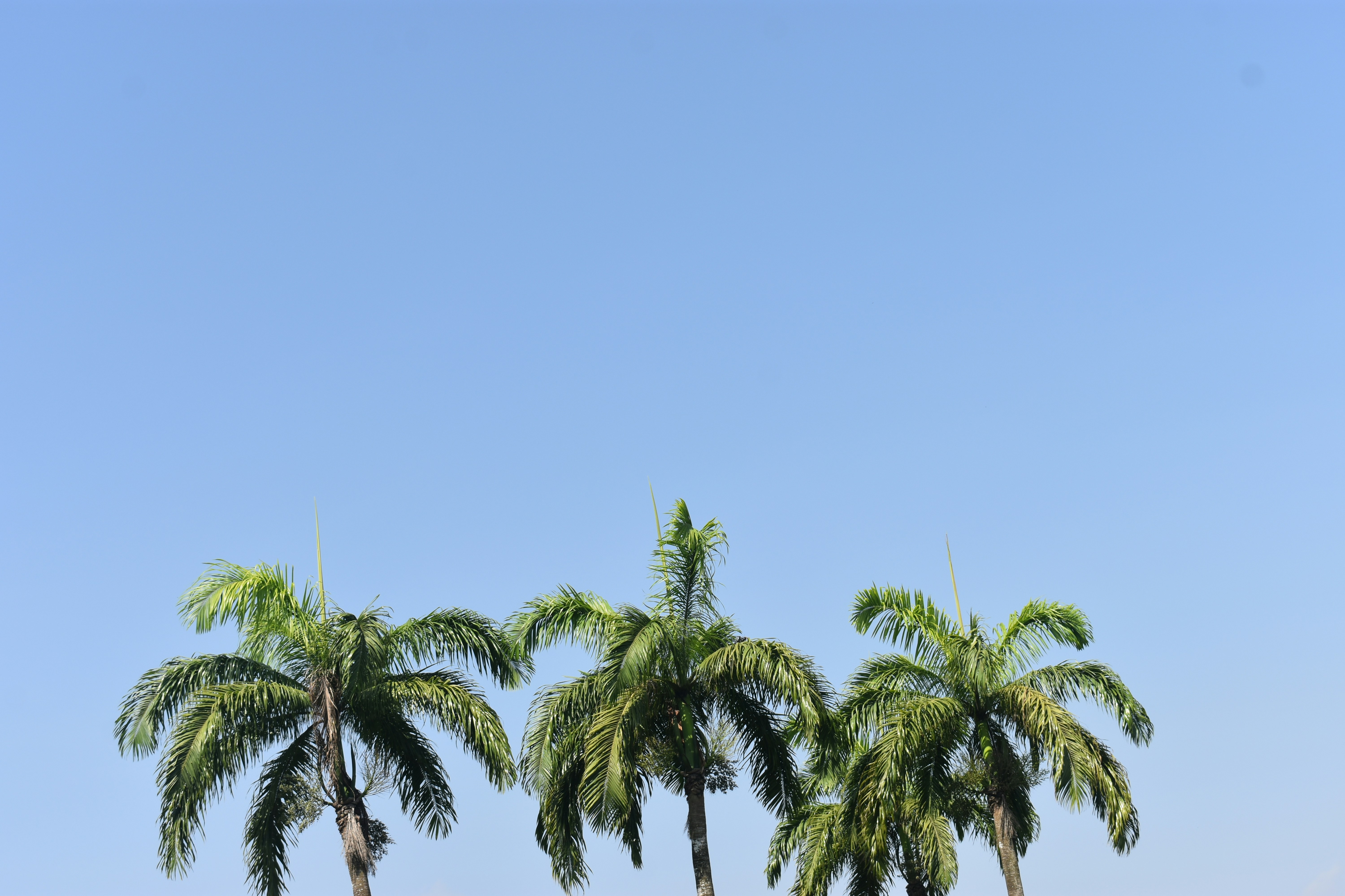 Photo by kaky_captures