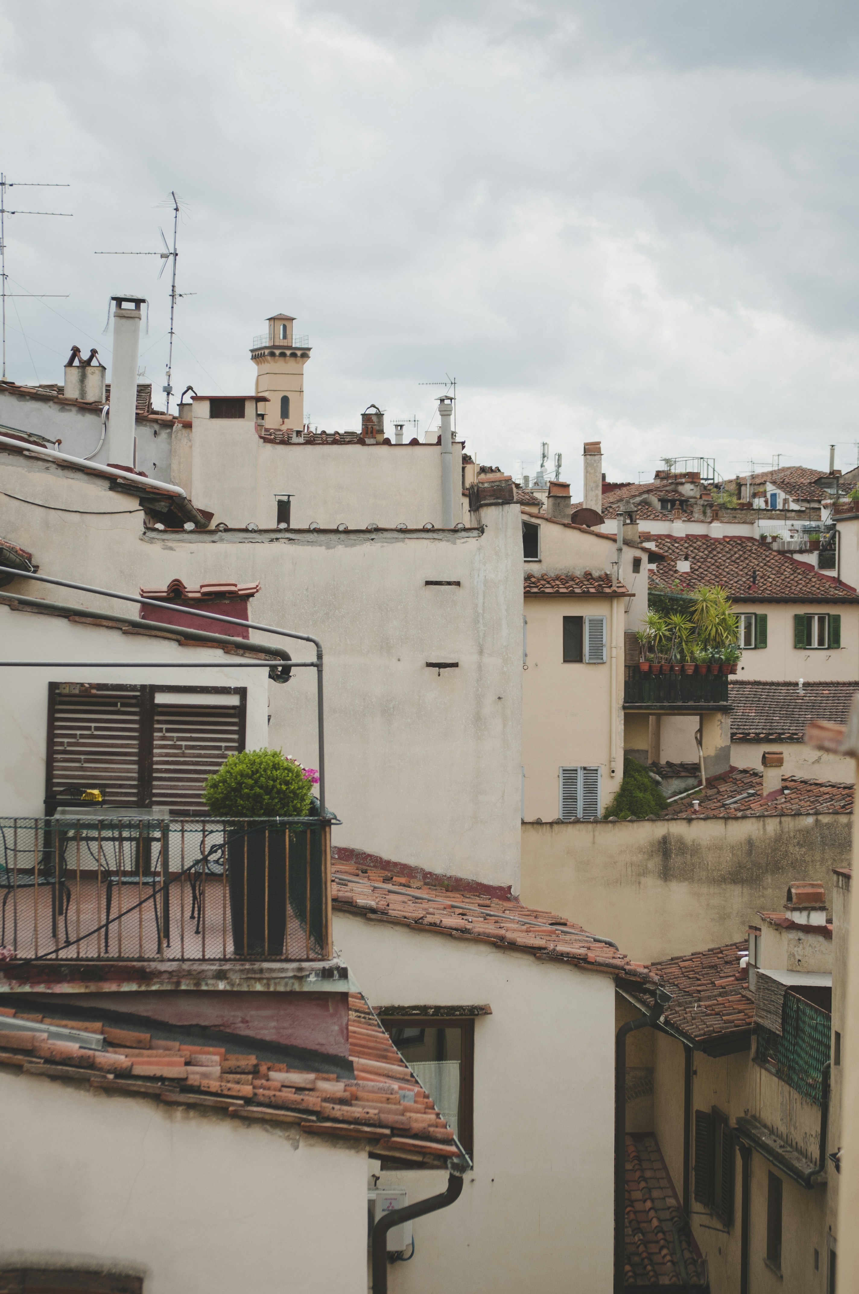 Photo by yuli_superson