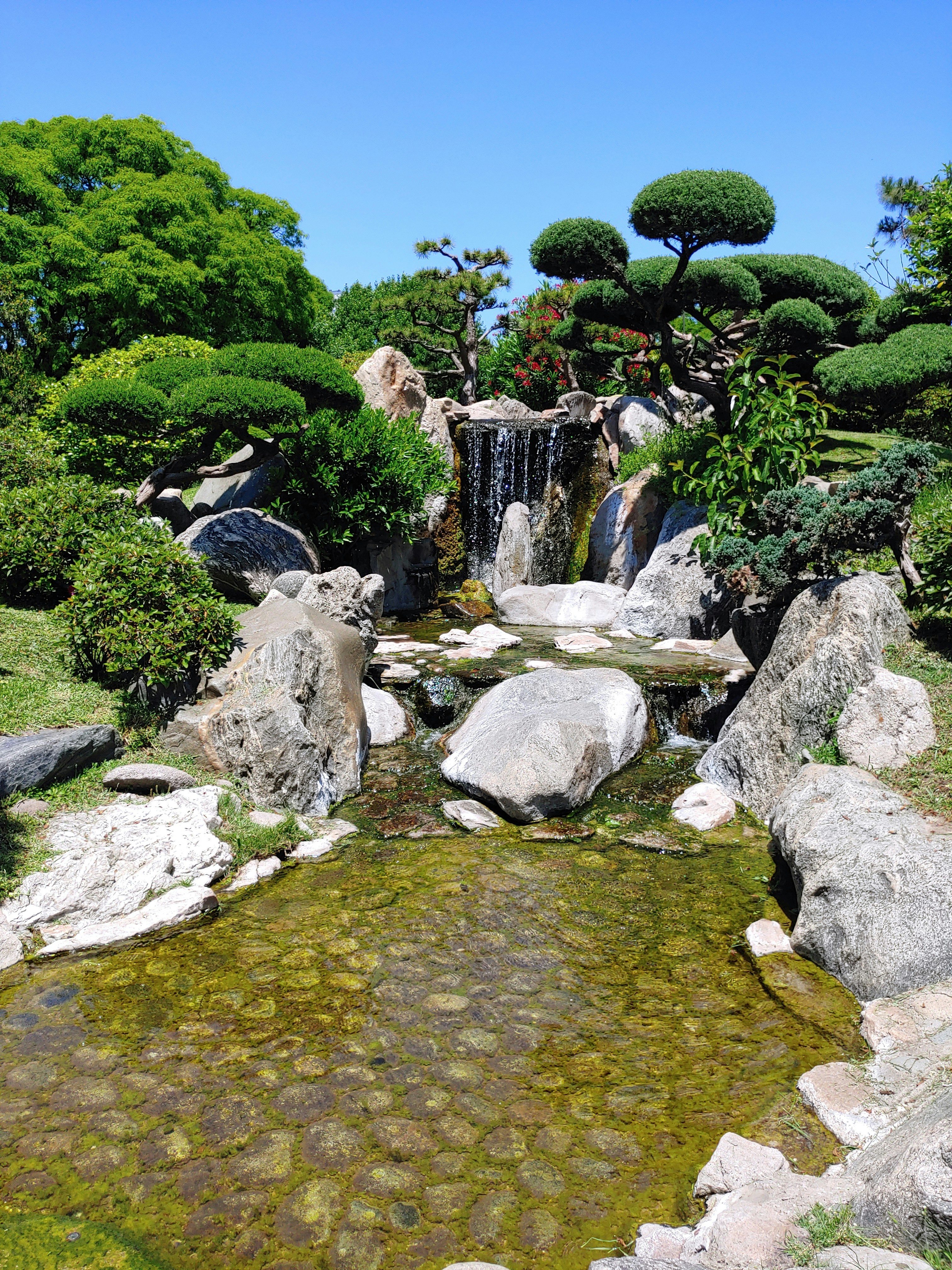 Photo by lukedbcarvalho