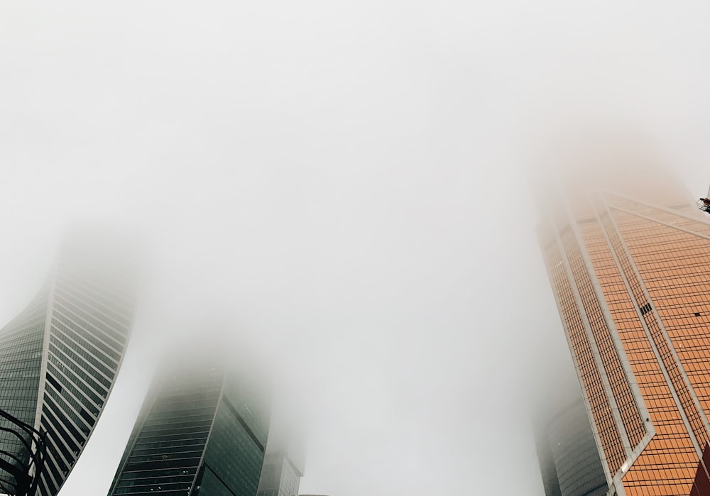 high-rise buildings covered with fogs