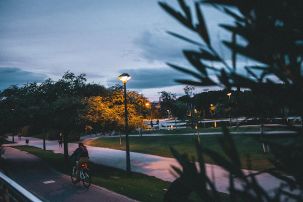 Evening view of Central Park with a cyclist riding along a tree-lined path under soft city lights.