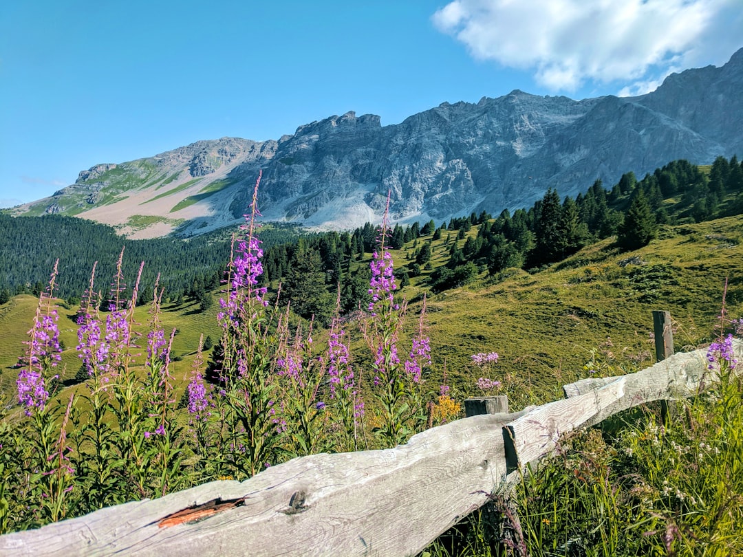 Mountain range photo spot Piz Mitgel Schwende District