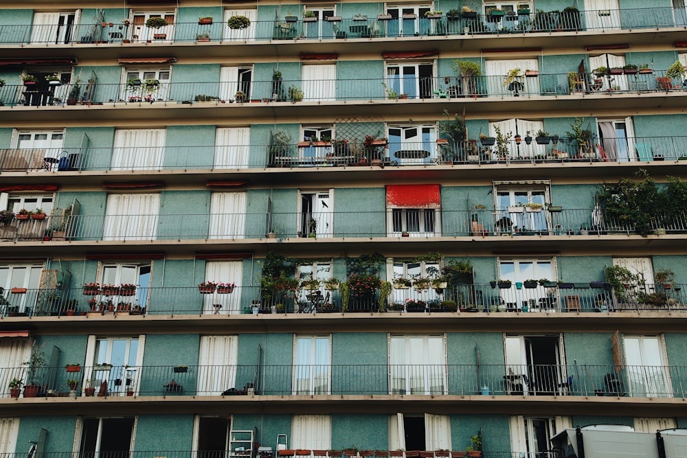 green and white building