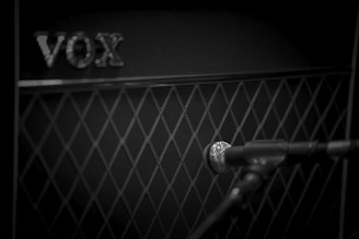 A black and white photograph featuring a microphone positioned in front of a VOX amplifier speaker cabinet. The amplifier has a distinctive diamond grille pattern and the VOX logo is visible. The image is focused on the texture and design of the amplifier with the microphone slightly blurred in the foreground.