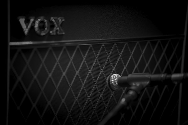 A black and white photograph featuring a microphone positioned in front of a VOX amplifier speaker cabinet. The amplifier has a distinctive diamond grille pattern and the VOX logo is visible. The image is focused on the texture and design of the amplifier with the microphone slightly blurred in the foreground.