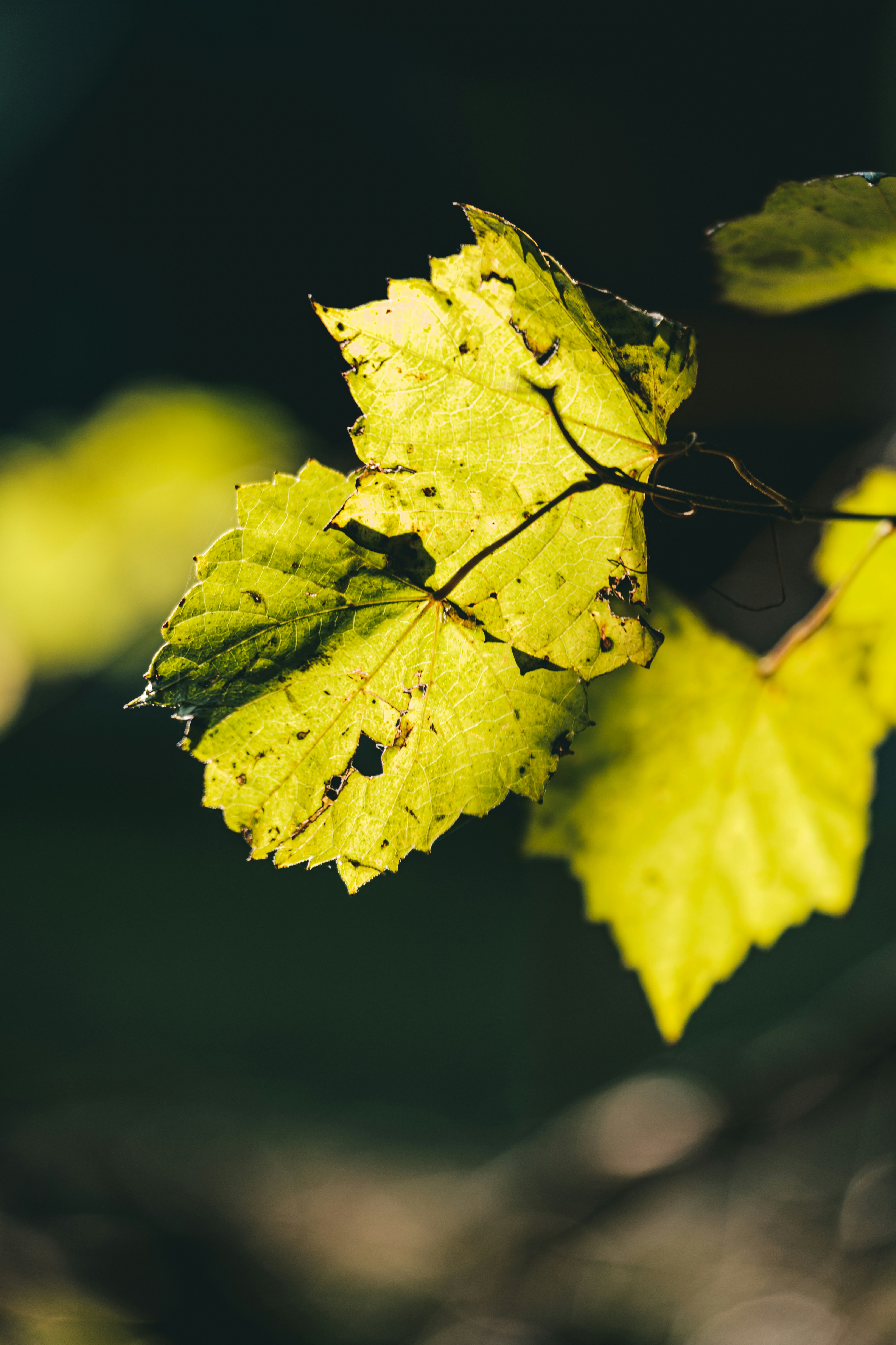 Photo by jacksharp_photography