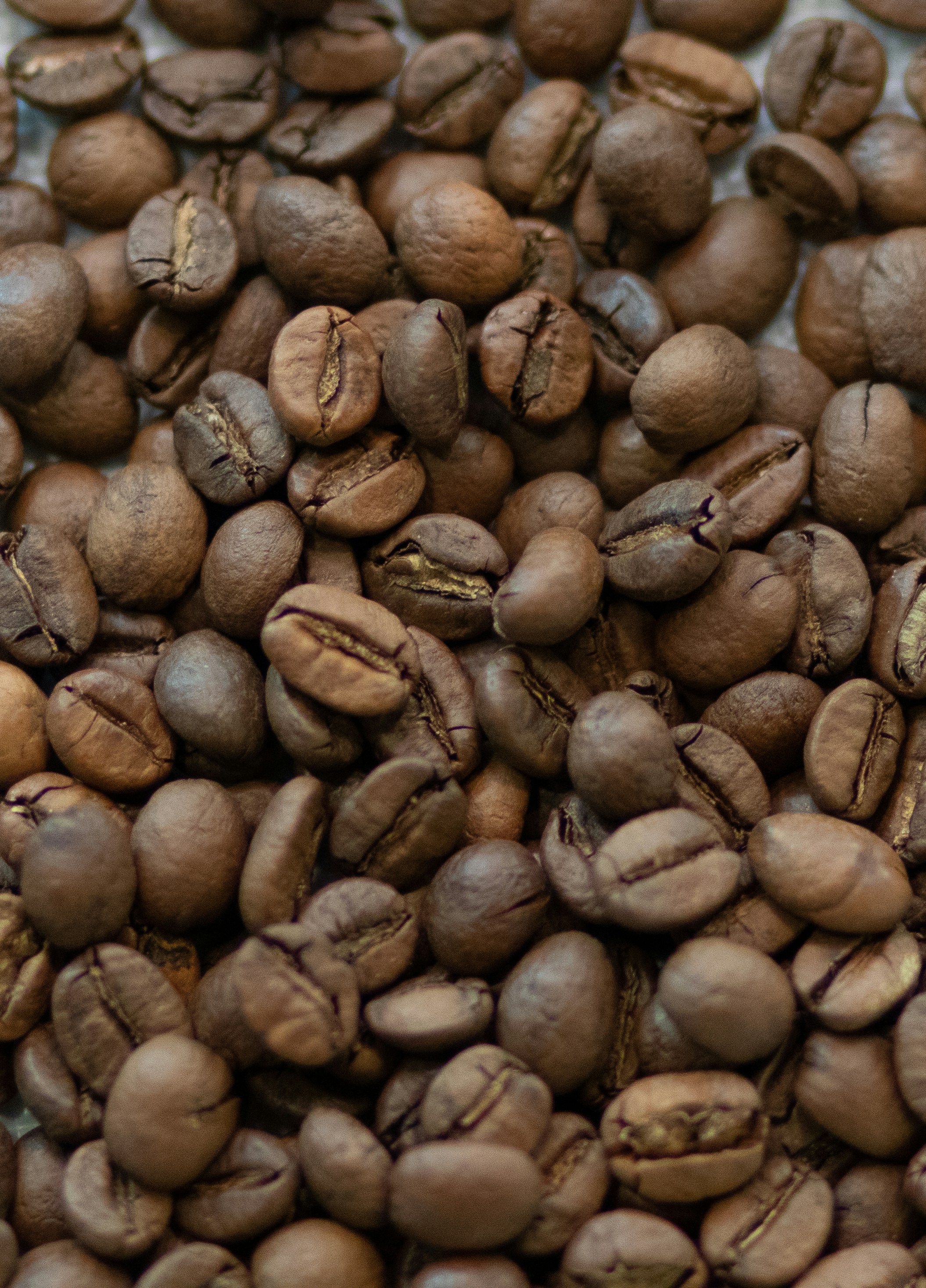 Photo by svetlana_boyko