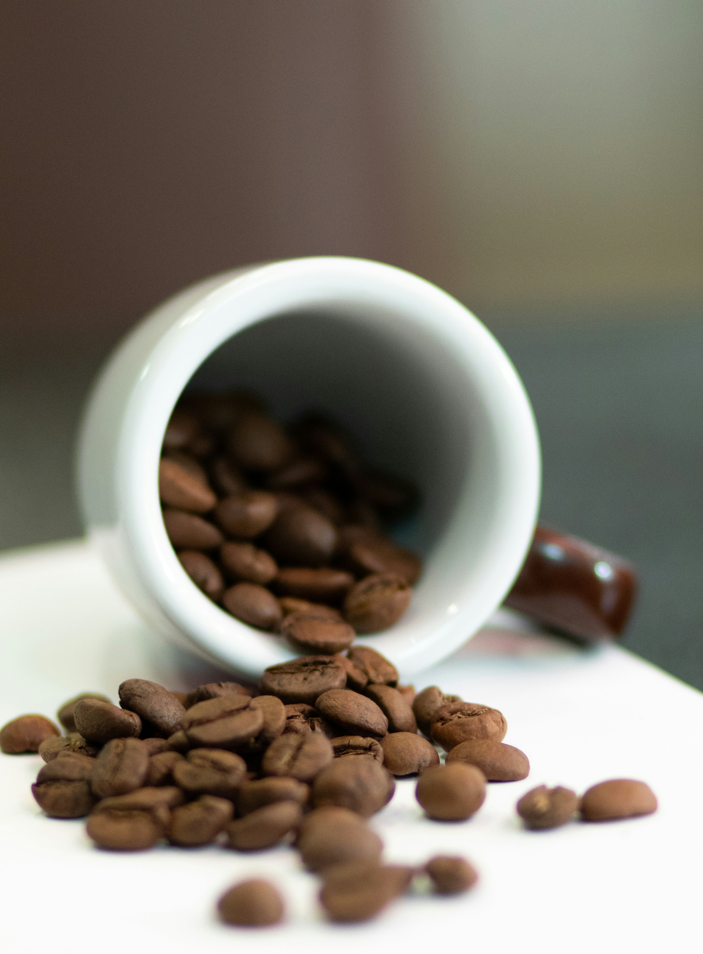 Photo by svetlana_boyko