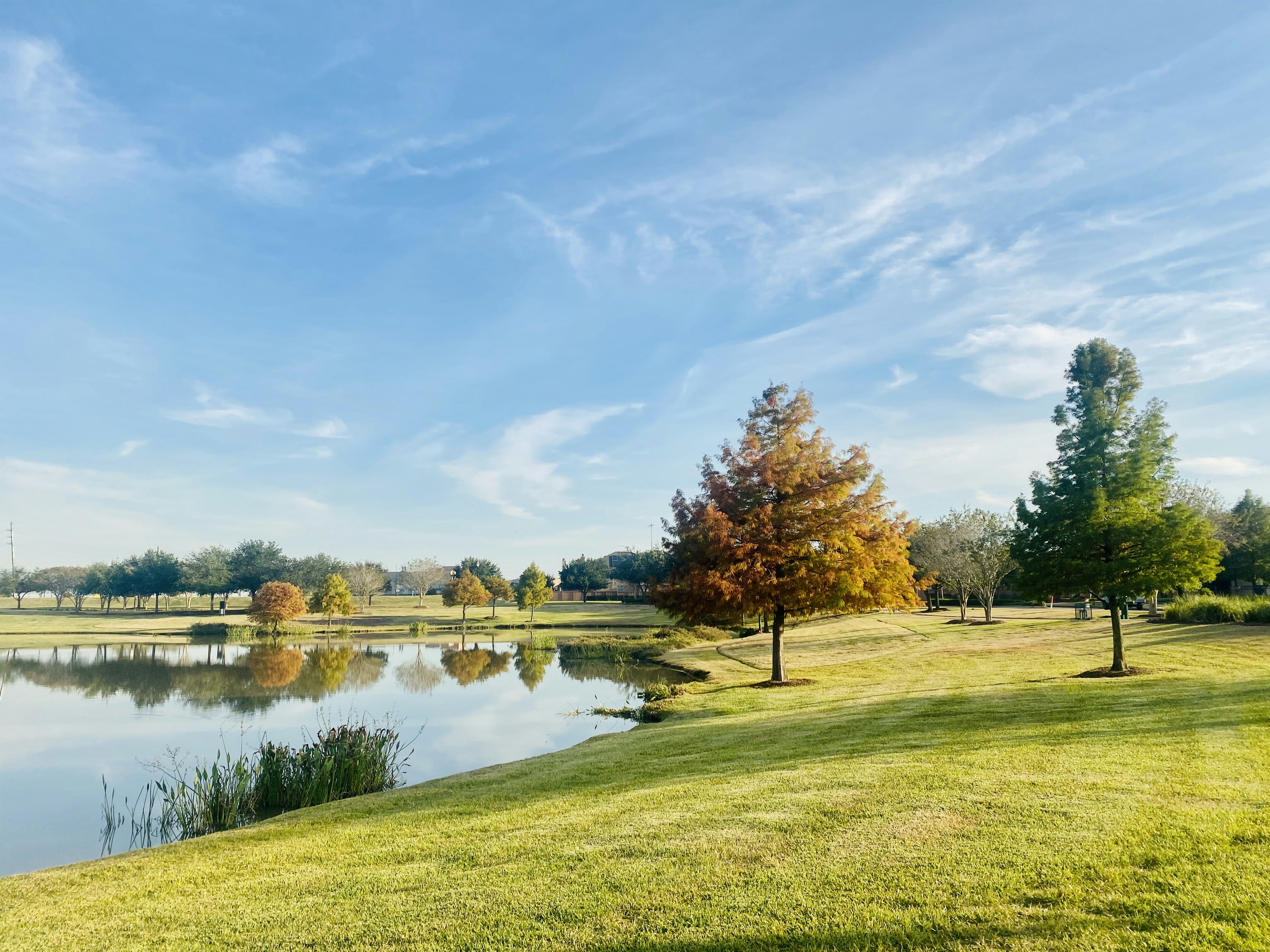 Photo by tobylitao2019