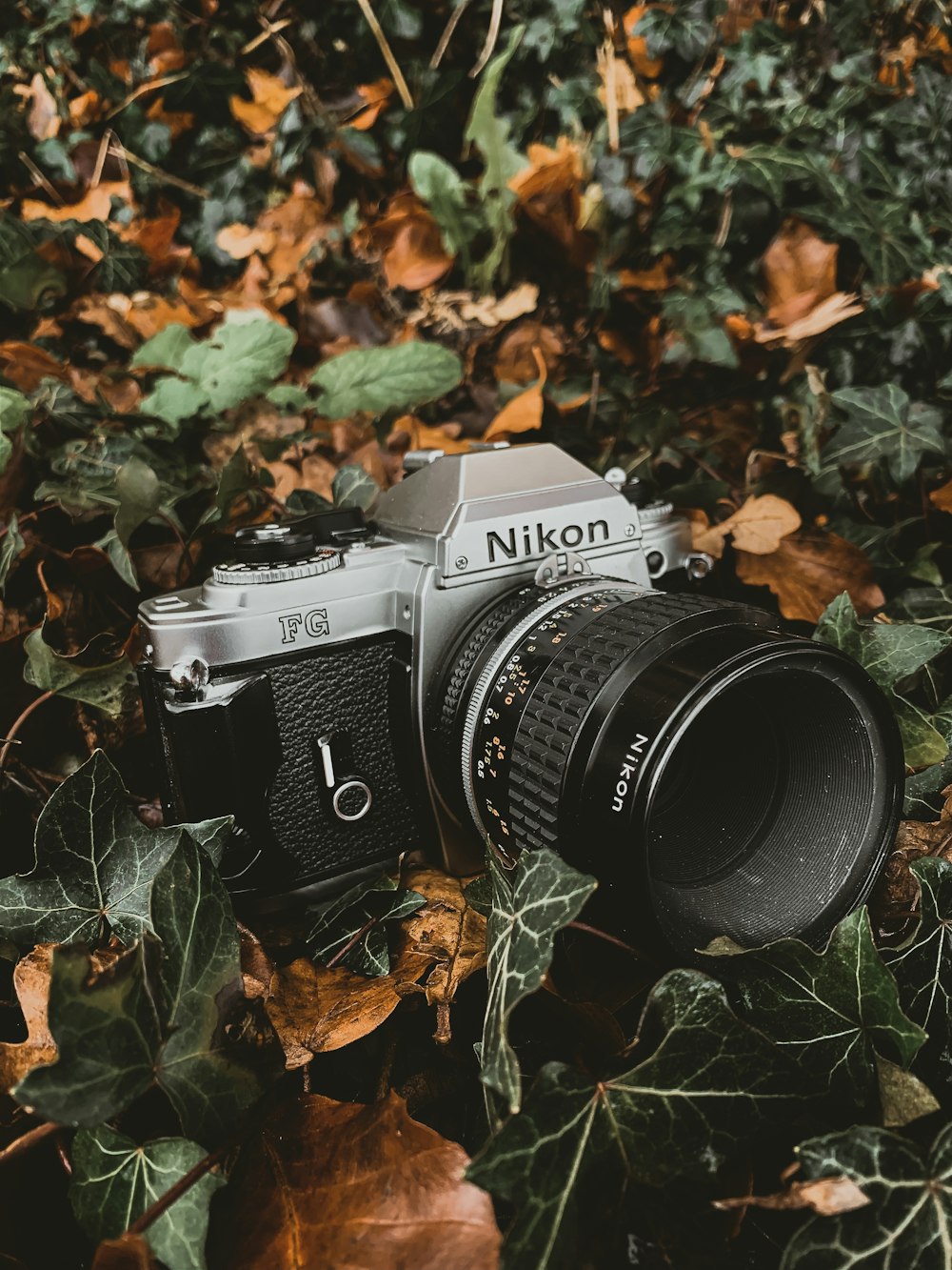 cámara réflex Nikon gris y negra