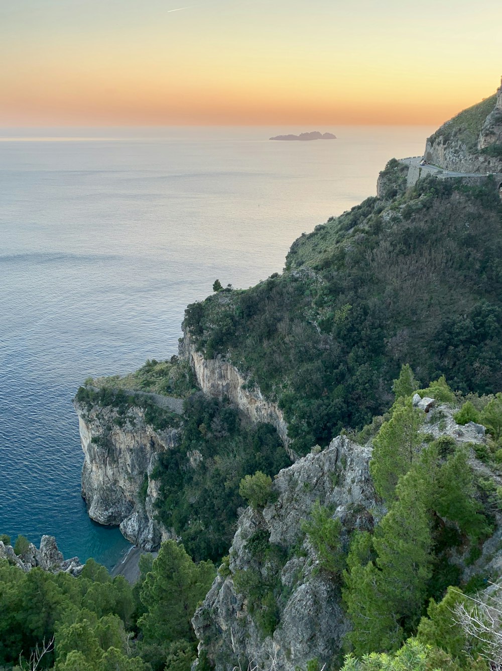 grey rocky cliff with trees and grass during daytime