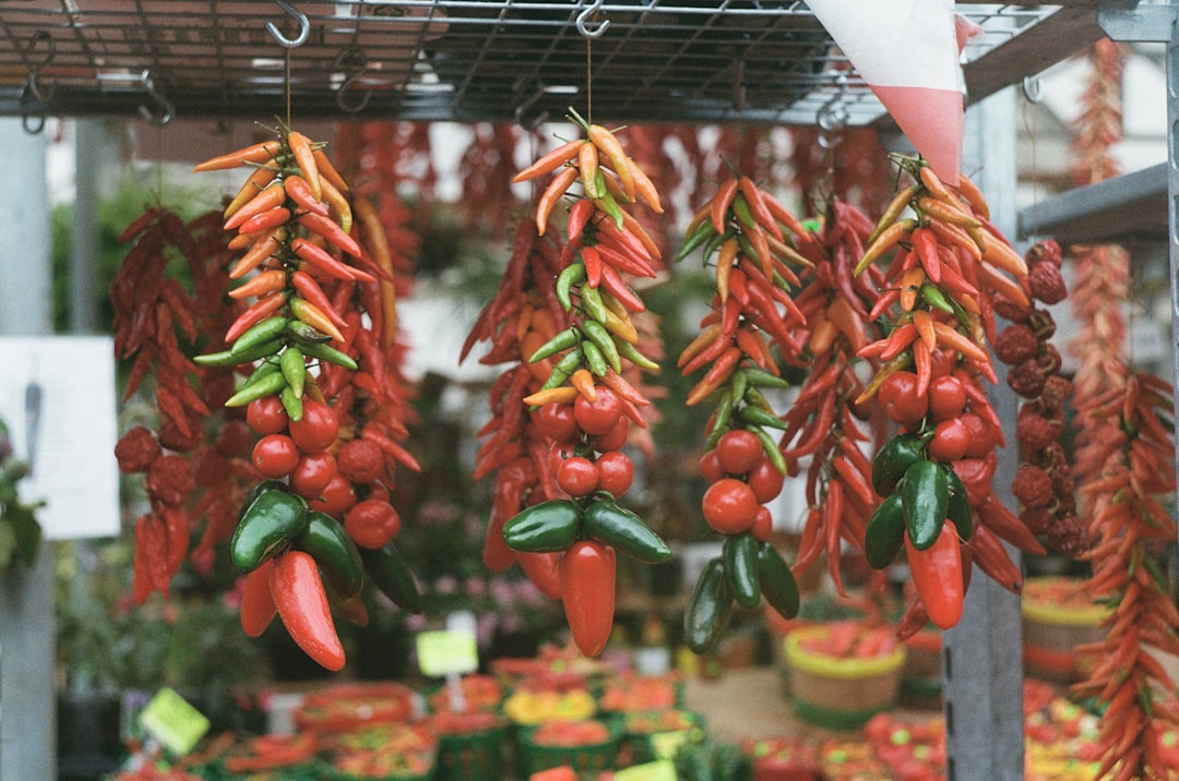 hanging \red and green chilis during daytime