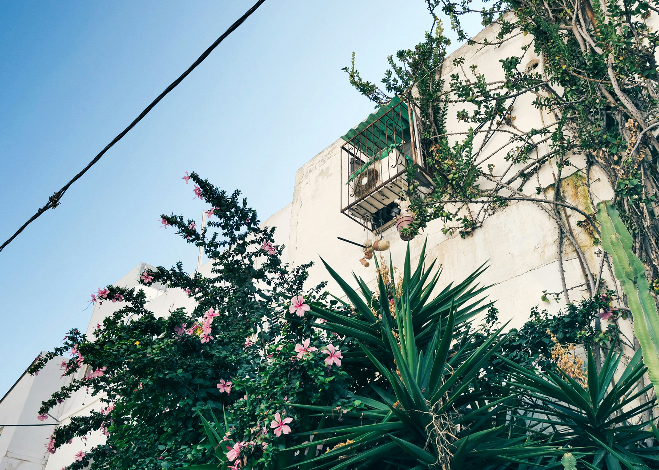 Photo by cosminserban