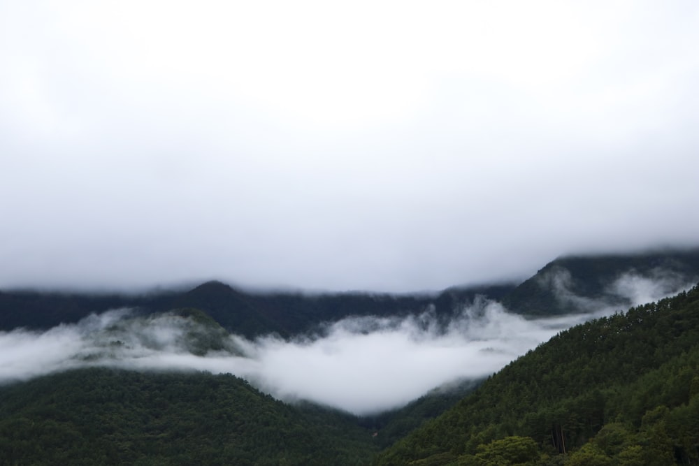 foggy mountain ridge