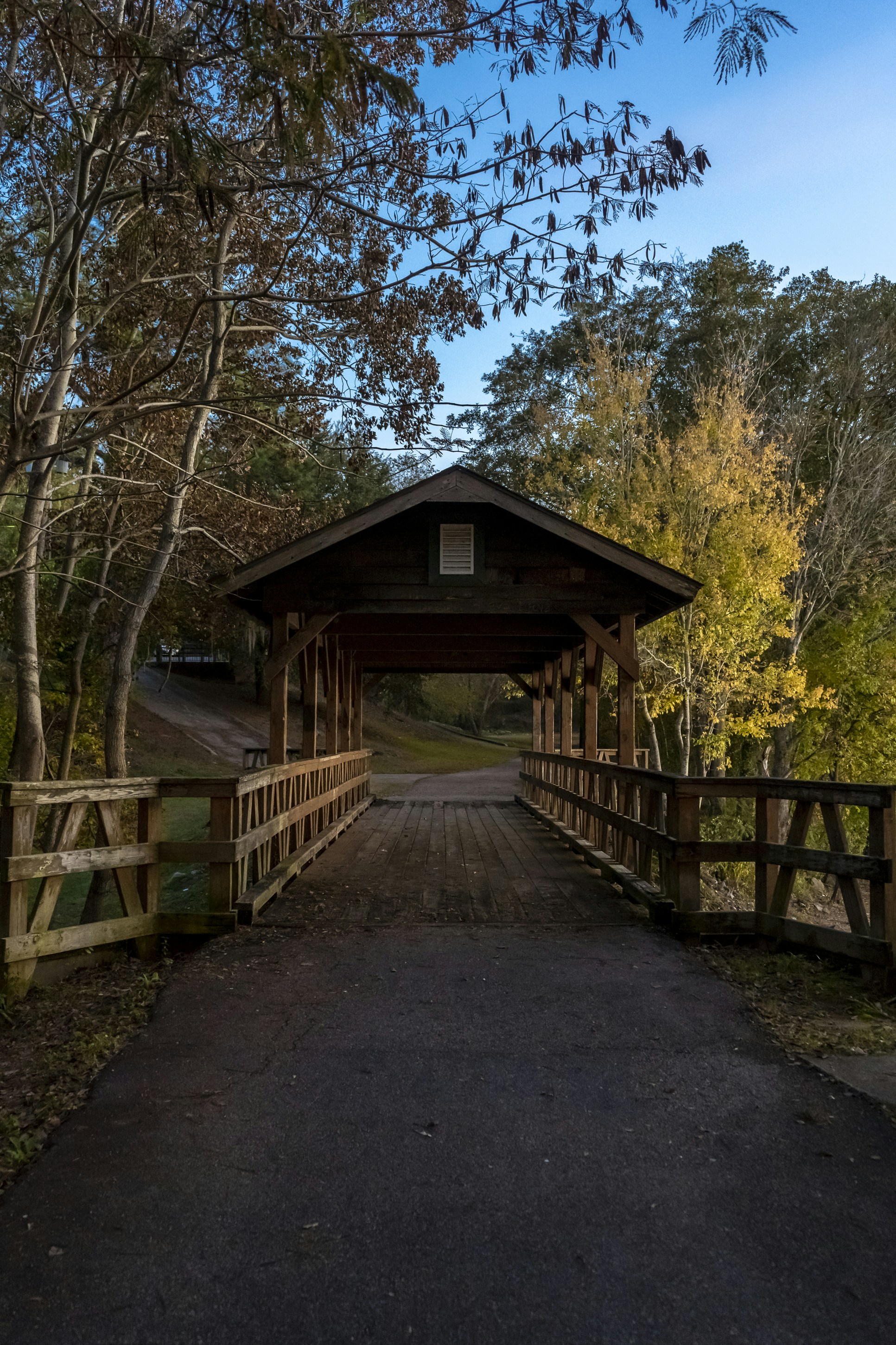 brown wooden bridge