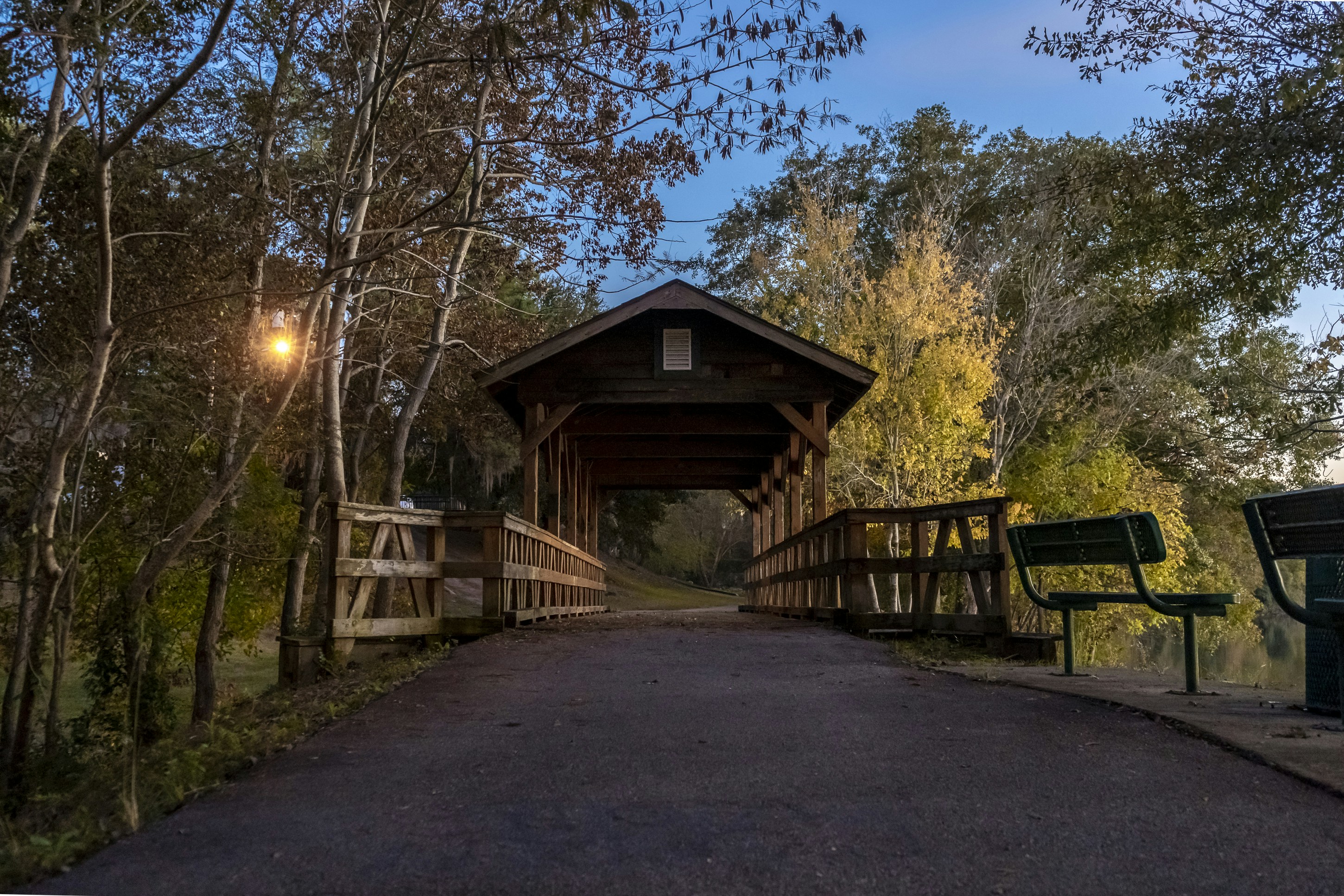 brown wooden bridge with roof