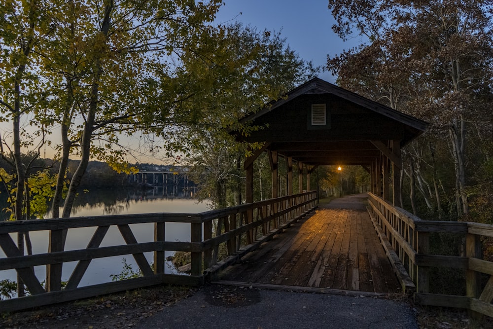 brown wooden boardwalk