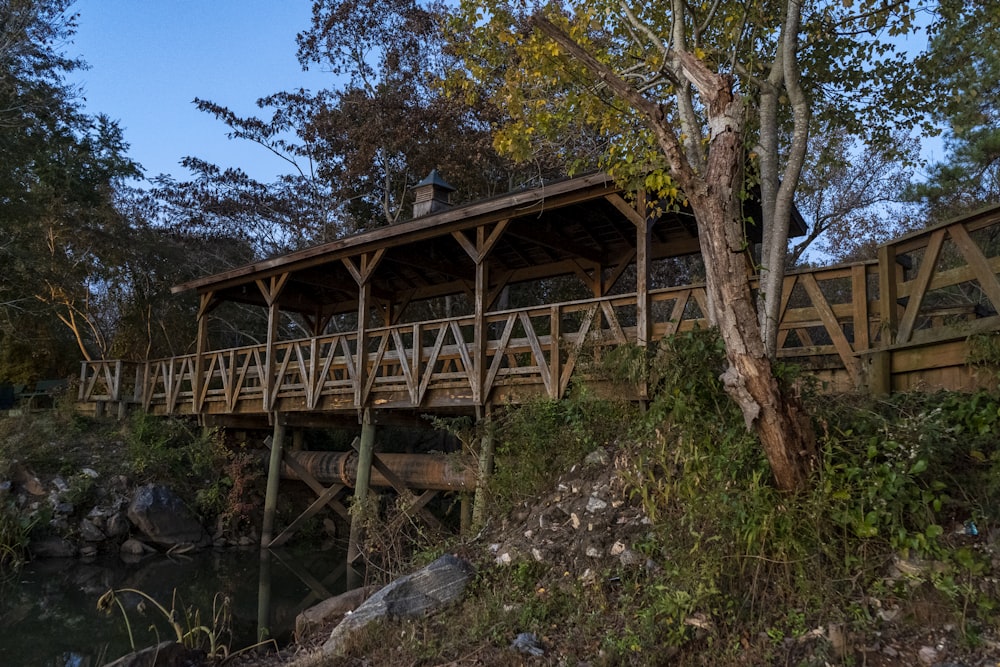 brown wooden bridge