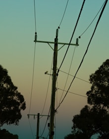 A utility pole with several power lines is silhouetted against a gradient sky transitioning from light blue to peach. The scene is flanked by the outlines of trees, suggesting a serene, early evening setting.