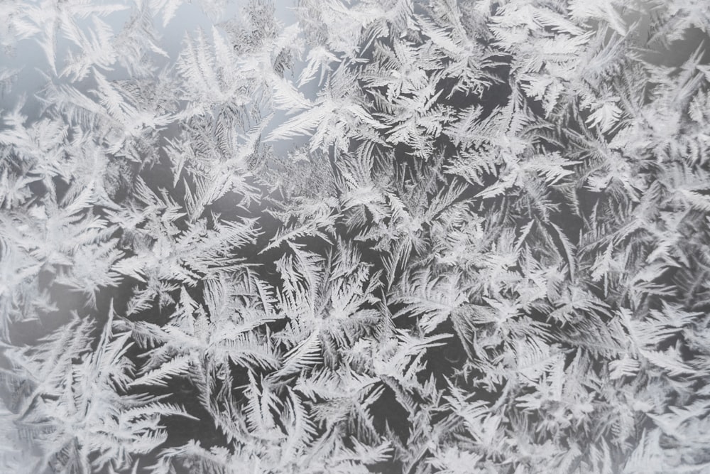 Eine Nahaufnahme eines frostigen Fensters