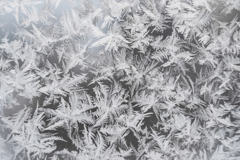 Frozen