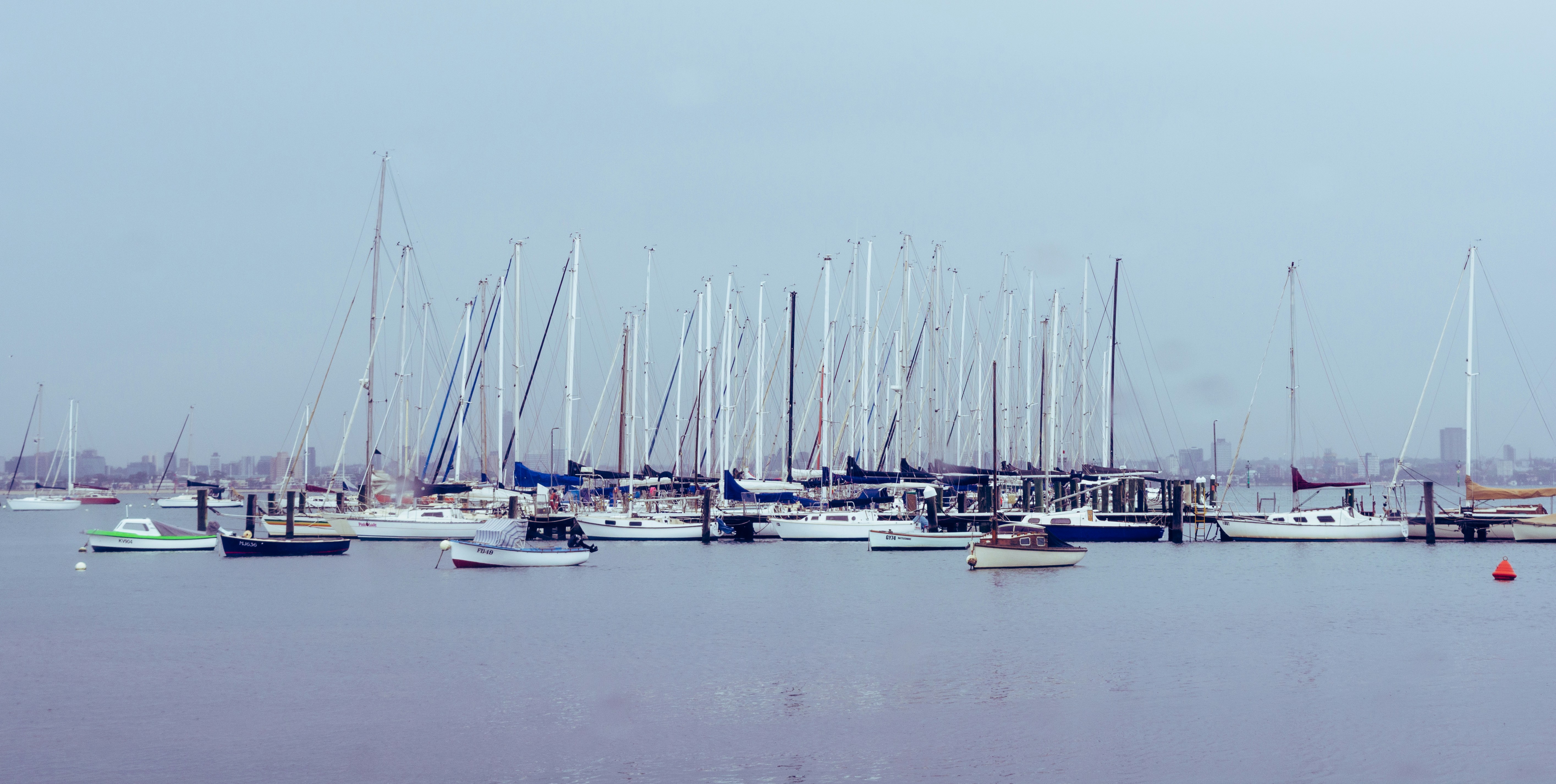 BSCCrop header image