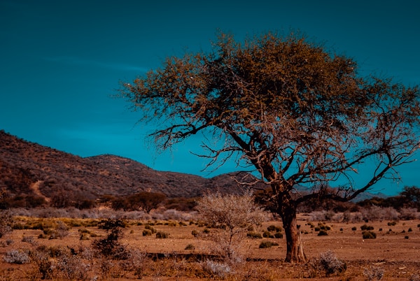 Optimal Seasons & Weather in Windhoek: Month-by-Month Guide