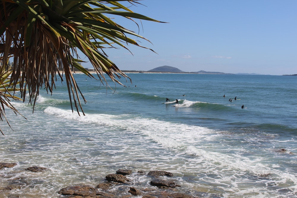 sea waves during daytime