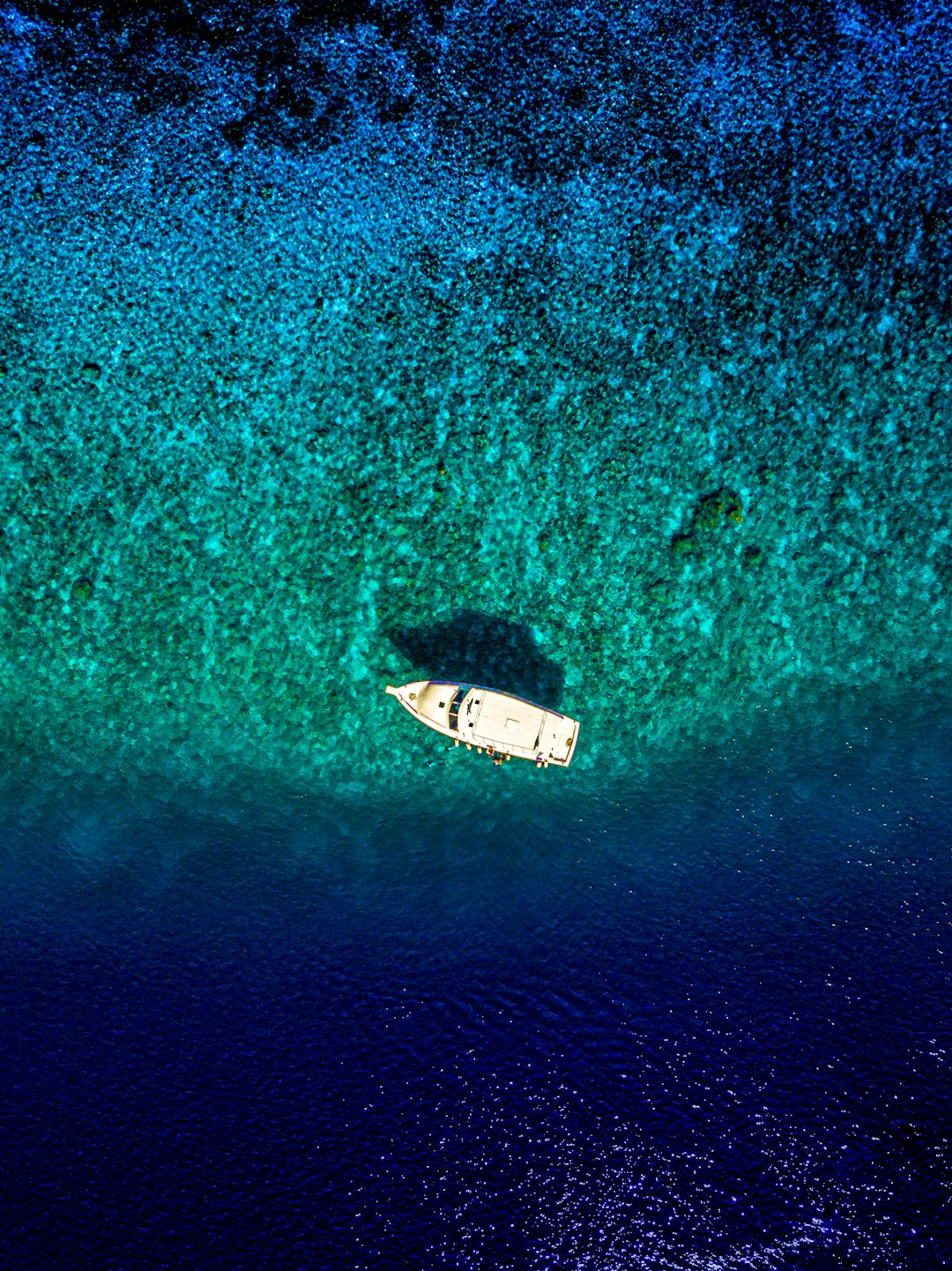 whtie sailboat aerial scenery