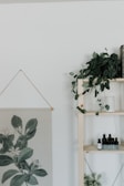 A minimalist interior features a wooden shelf with potted plants and small bottles. A botanical print hangs on the wall, and a lush green plant cascades down the corner of the shelf.