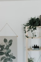 Minimalist wellness corner with neatly arranged juice bottles and green plants.