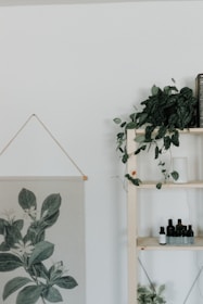 A minimalist living space with plants and zero waste products.