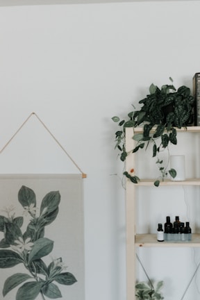A minimalist interior features a wooden shelf with potted plants and small bottles. A botanical print hangs on the wall, and a lush green plant cascades down the corner of the shelf.