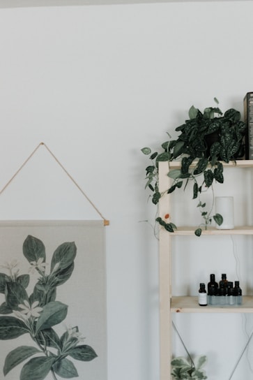 green plants on white wooden shelf