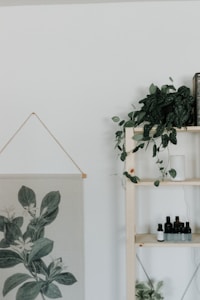 Modern Bathroom Shelf