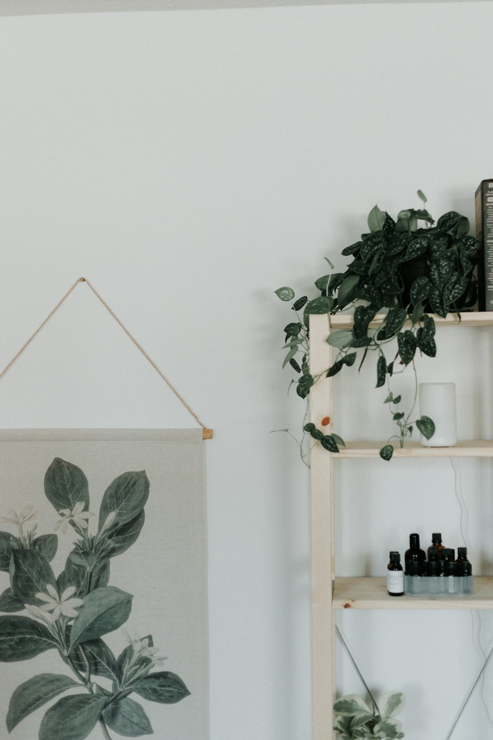 green plants on white wooden shelf