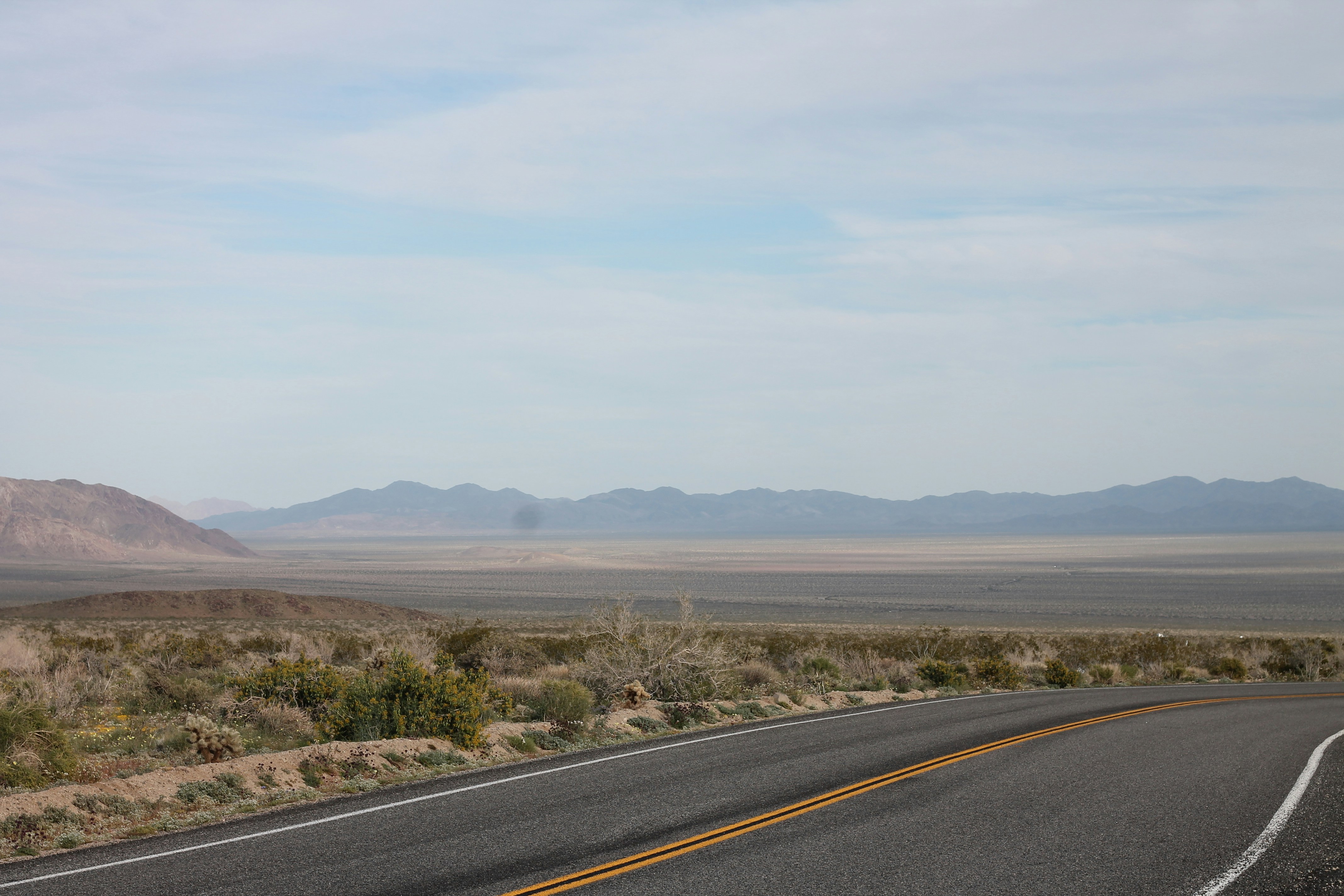 Photo by laveraslens