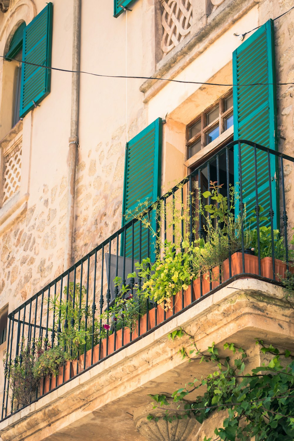 piante sul balcone