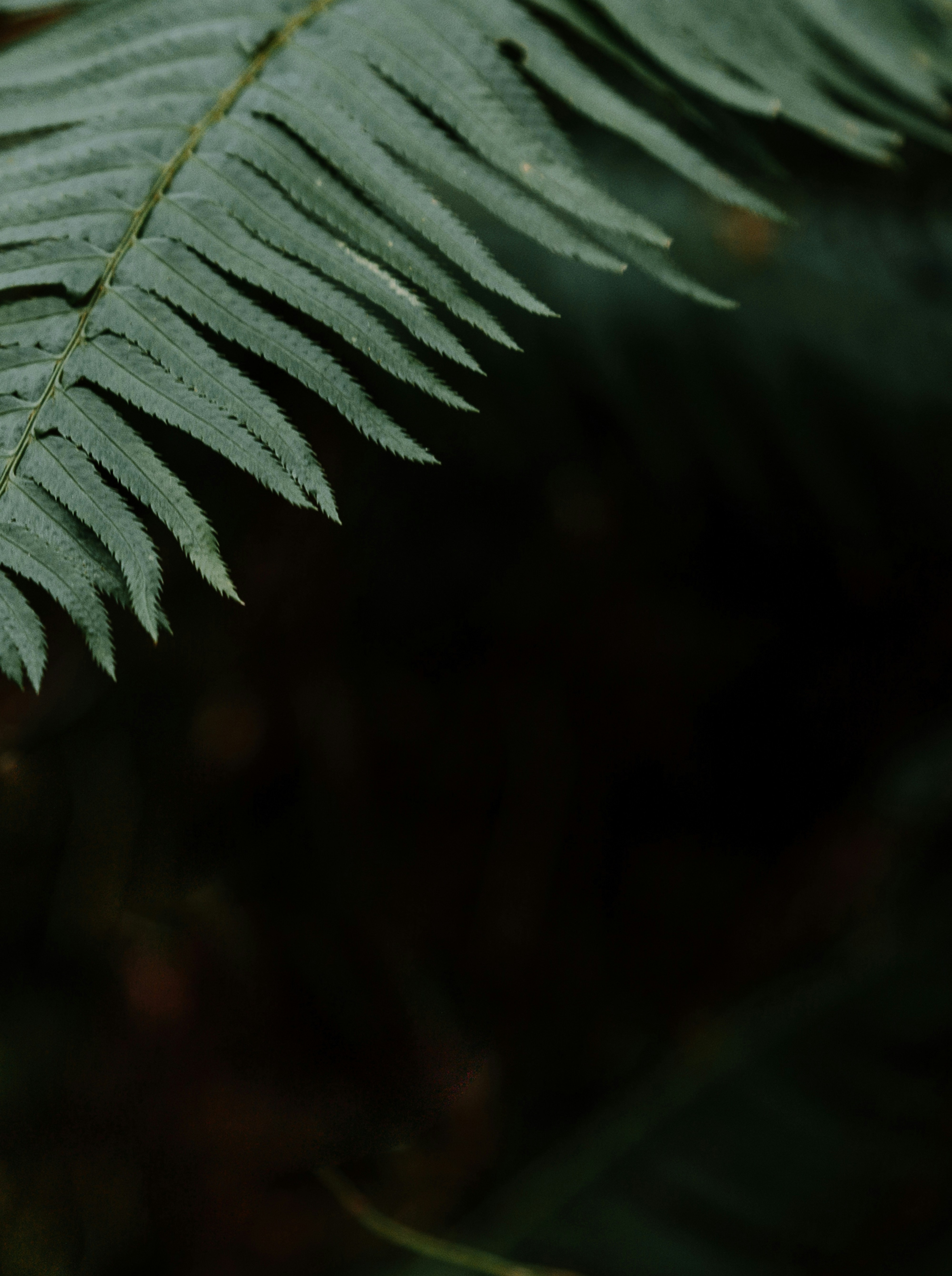 Photo by priscilladupreez