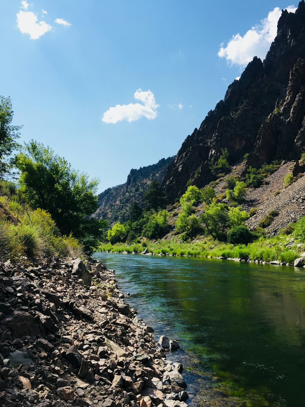 a river running through a lush green valley