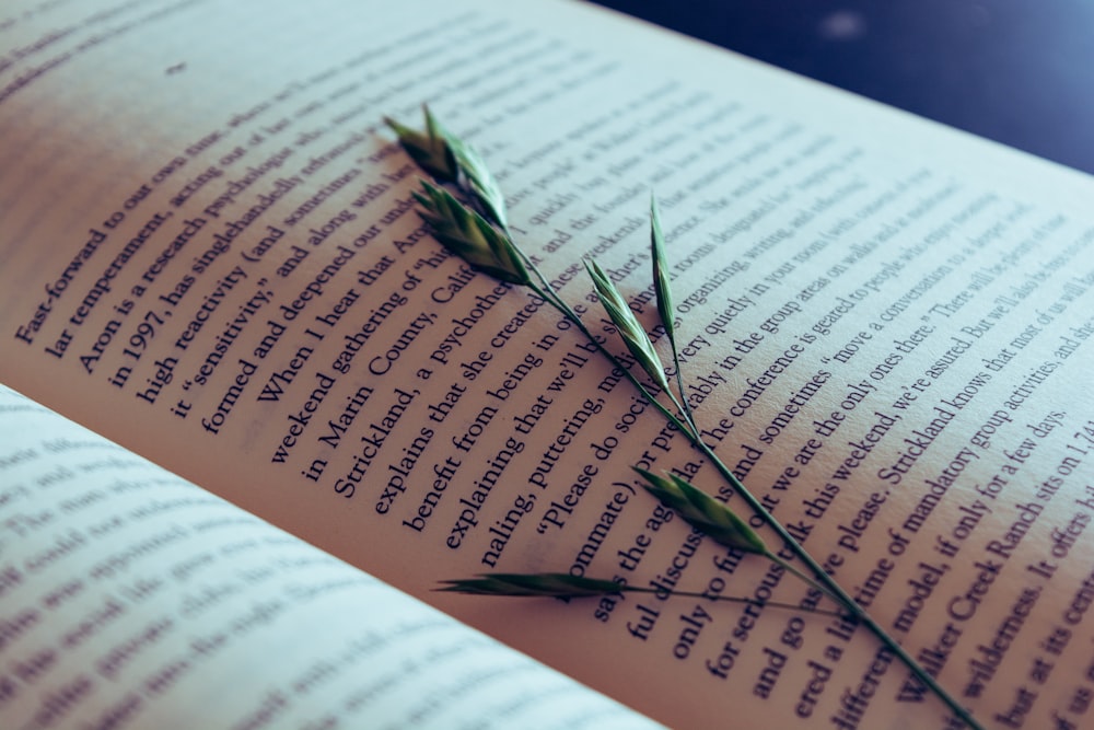 leaves on book