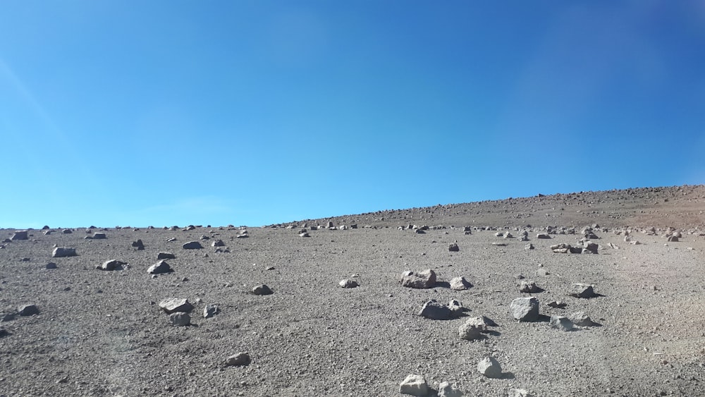 dirt and rocky field