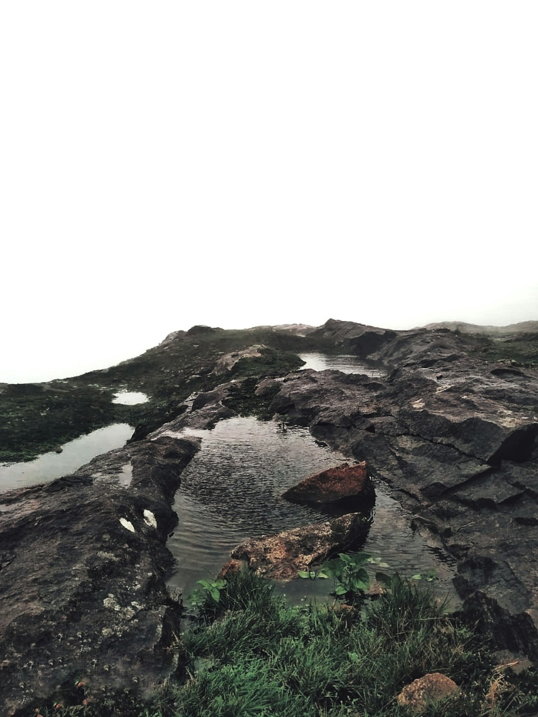 photo of Coorg Hill near Kote Betta