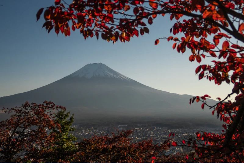 Autumn colors at Jojakko-ji Temple