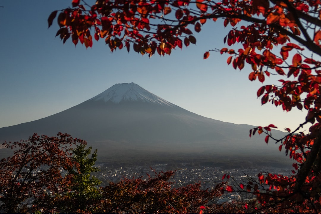 Stratovolcano photo spot Kawaguchiko Konohana Museum Japan