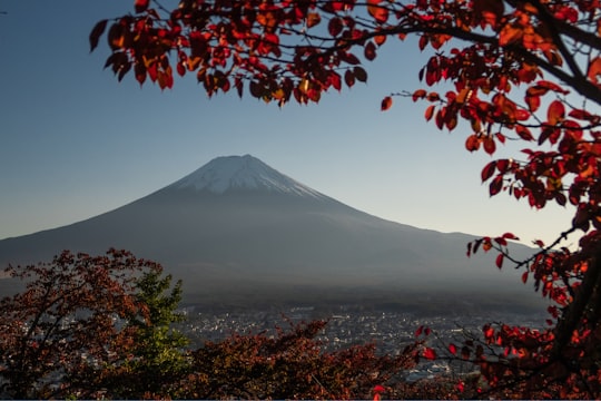 photo of Kawaguchiko Konohana Museum Stratovolcano near Mount Fuji