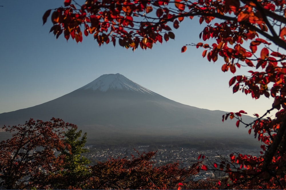 cone mountain during daytime